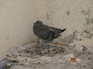 img_4226
