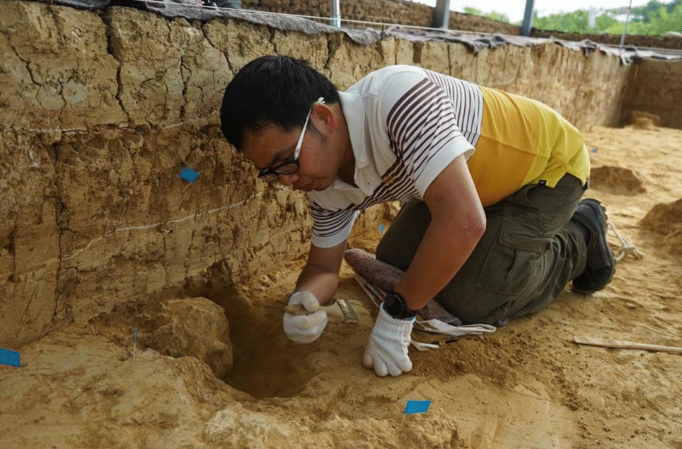 "Million-year-old" fossil skulls from China are far older—and not Denisovans