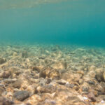 Mining the deep ocean