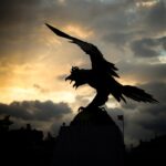 655001916_18570158836051236_3560821704061083362_n