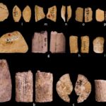 Ice Age dice show early Native Americans may have understood probability