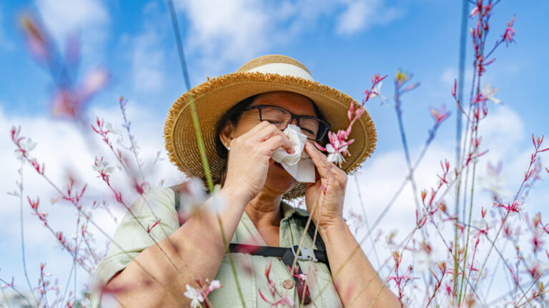 How climate change makes your allergies worse