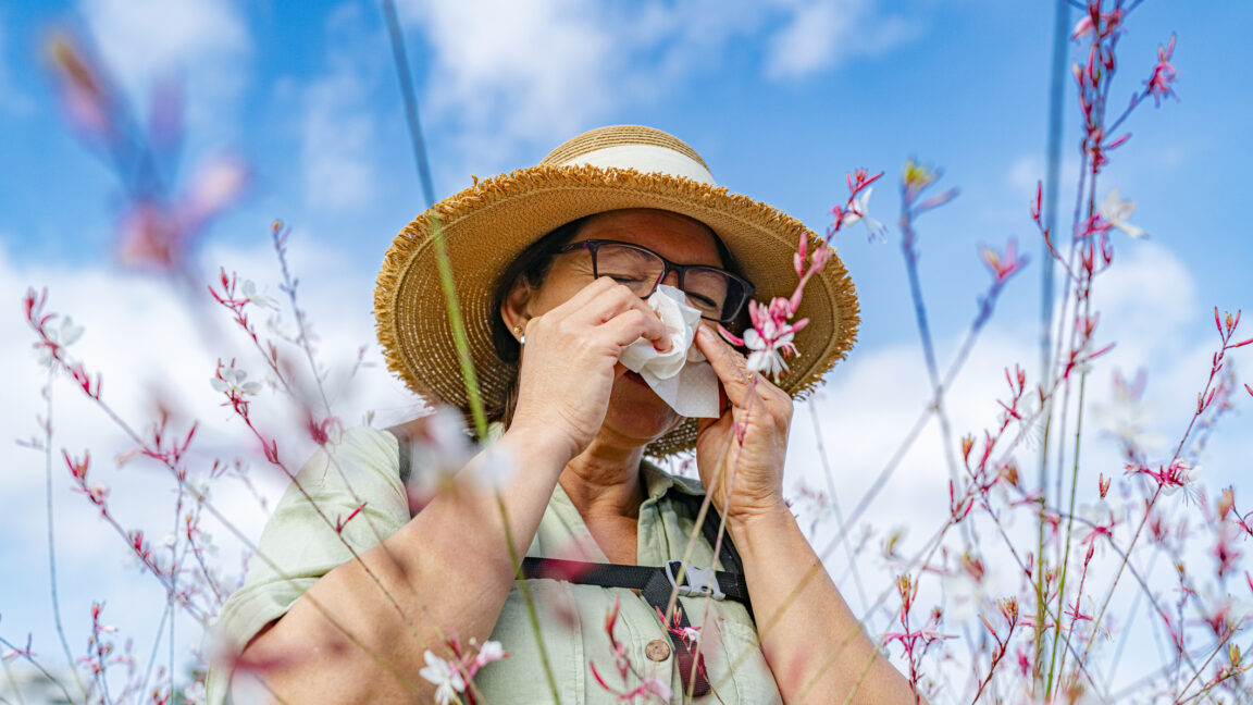 How climate change makes your allergies worse
