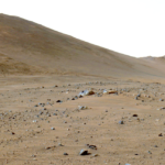 A martian rock has lots of carbon on it, and it's not clear why