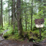 Dismantling the Roadless Rule threatens to disrupt wildlife and water in US