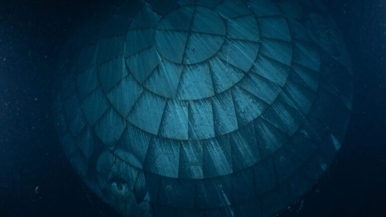 It turns out that Orion's much-maligned heat shield performed really well